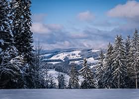 阿雪雪写真资源合集下载 94套 228GB