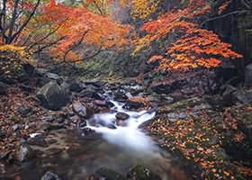水淼aqua写真合集274套60GB下载